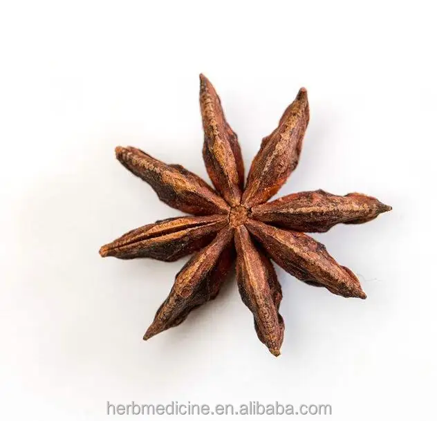 
ANISEED Star Anise seed fruits unselected Fructus Anisi Stellati 