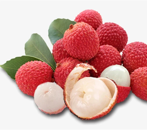 
Canned food list canned lychee organic food for indonesia food 
