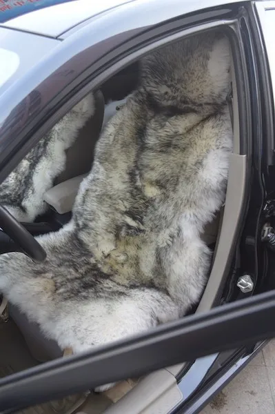 Grey Colour Premium Australian Sheep Skin Car Long Wool Front Single Seat Cover
