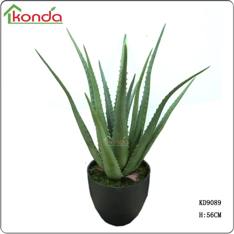 PE искусственные растения алоэ вера для продажи, мини листьев алоэ вера завод Agave