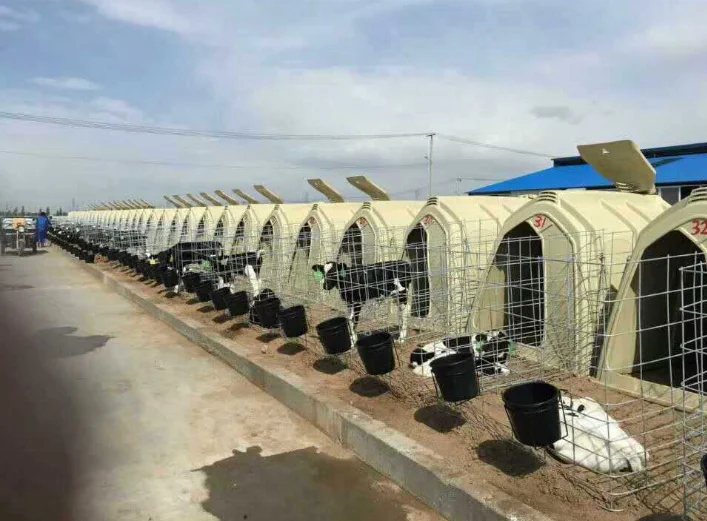 Customized rotational plastic calf house