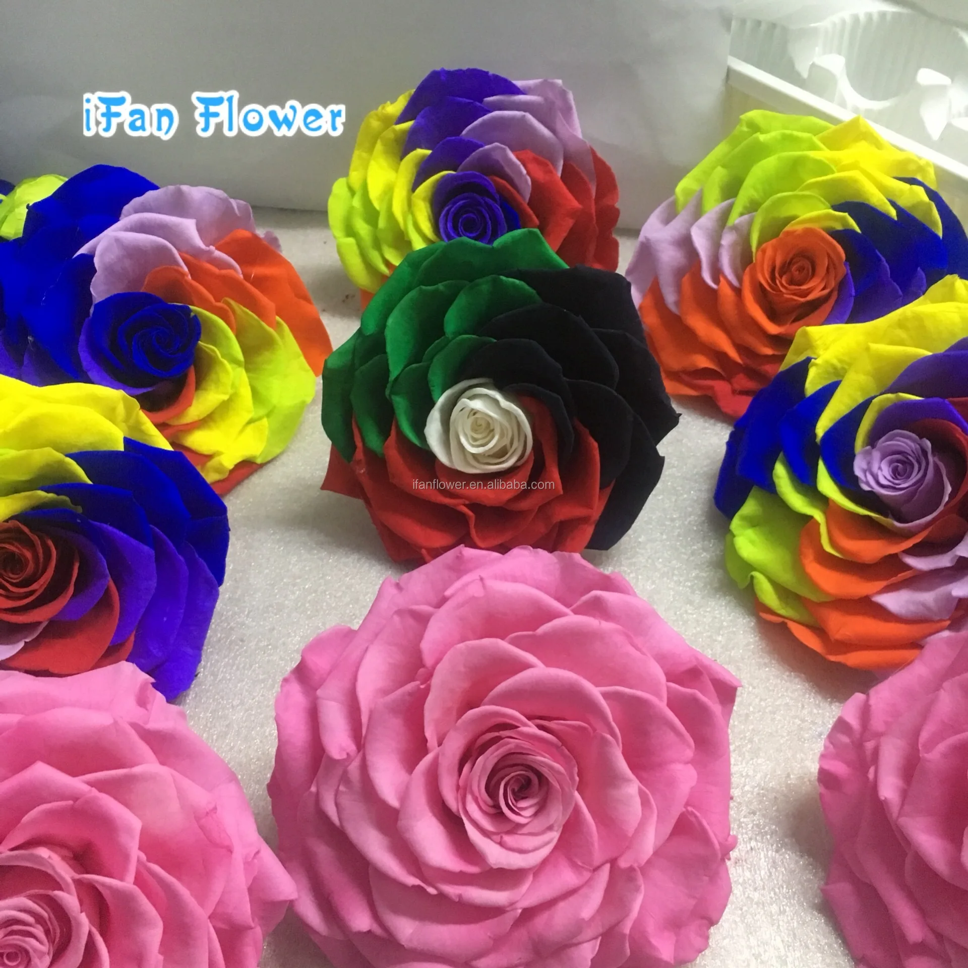 Высококачественные свежие консервированные Цветочные гвоздики для Дня матери