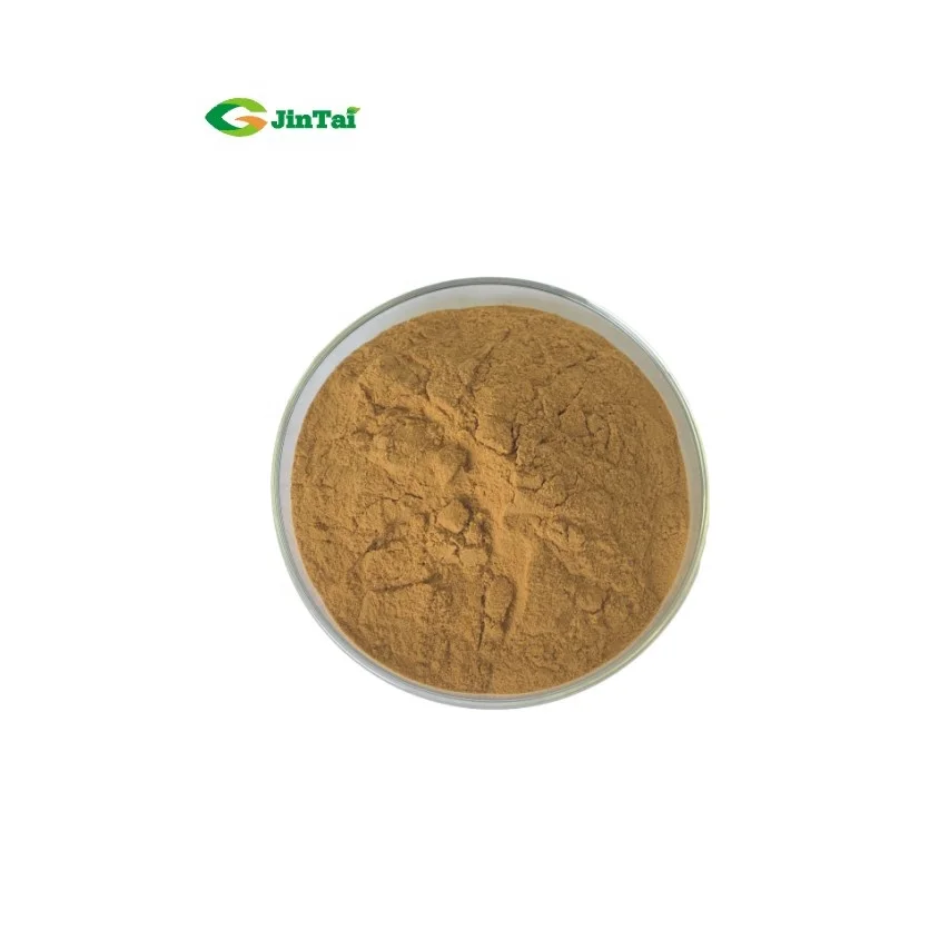 High quality Honey Mushroom Extract Powder From Manufacture