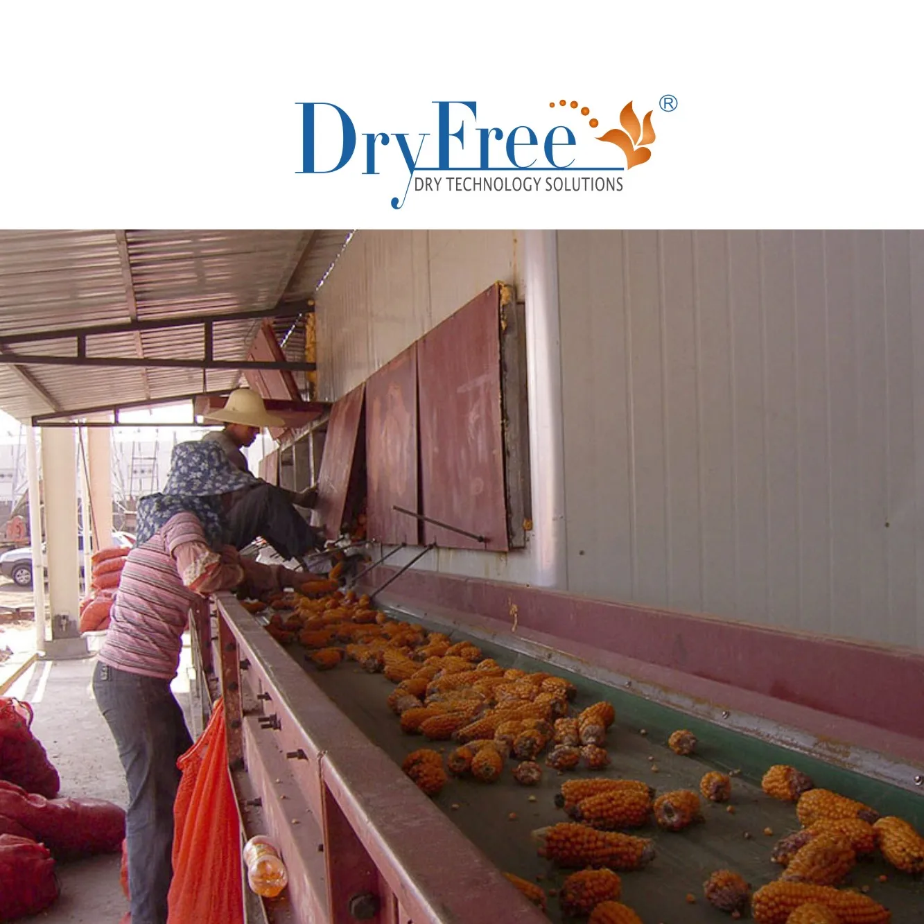 High Efficiency Electric Herb Heat Pump Dryer For best food dehydrator dried vegetable production line solar dry machine