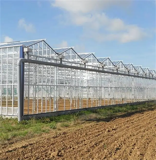 Skyplant Venlo Multi-span Greenhouse With Hydroponic Systems