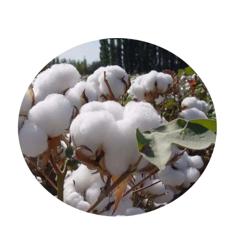 
Virgin / Recycled Viscose Staple Fibre /Viscose fiber /viscose fiber with cheapest price 