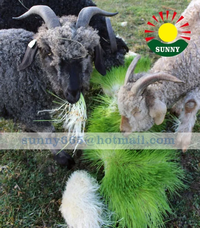 
Container Type Hydroponic Energy-saving Cattle And Sheep Fodder Growing Machine 