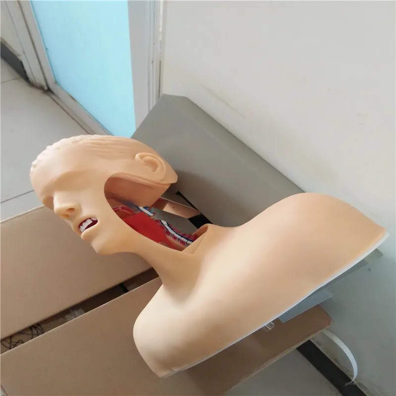 intubation with alarm device airway intubation school teaching training model manikin