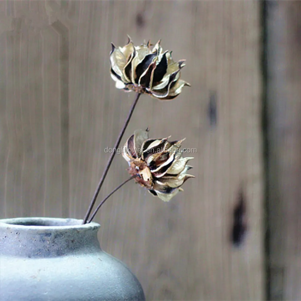 Dried Artificial Handmade Palms flowers by Cotton Shell