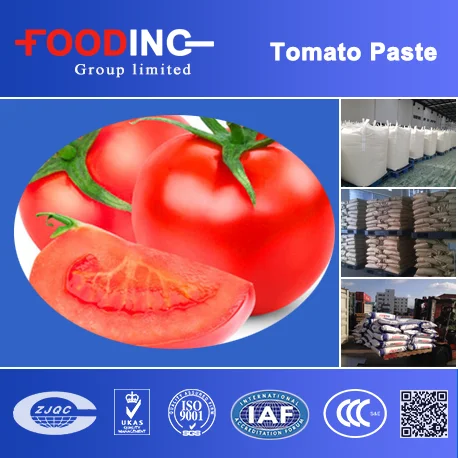 brix 36-38 & 28-30 Sauce organic tomato paste