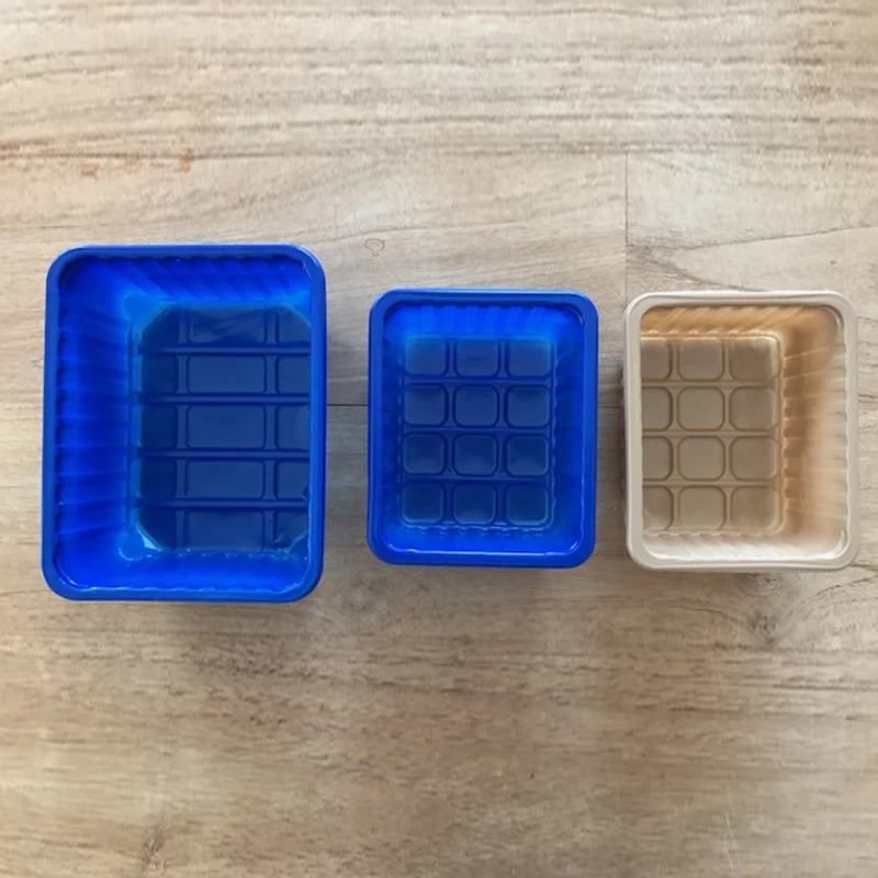 
Colored material plastic mushroom packaging tray punnet 