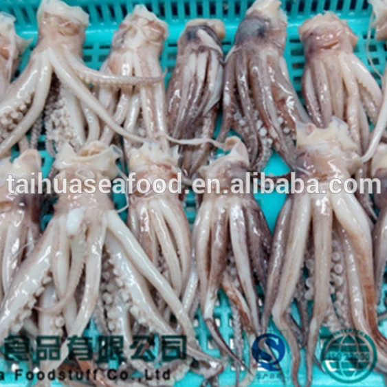 
DELICIOUS SQUID PRODUCTS(tube/tentacle/ring) 