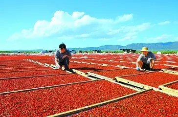 
2018 Chinese Healthy New Goji berry Dried Fruit tea 