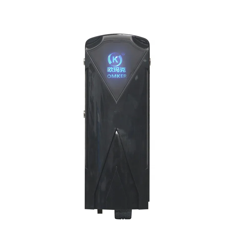 DC24V Remote Control Drive Gate Weight Up to 600KGS per Leaf Swing Gate Opener Motor