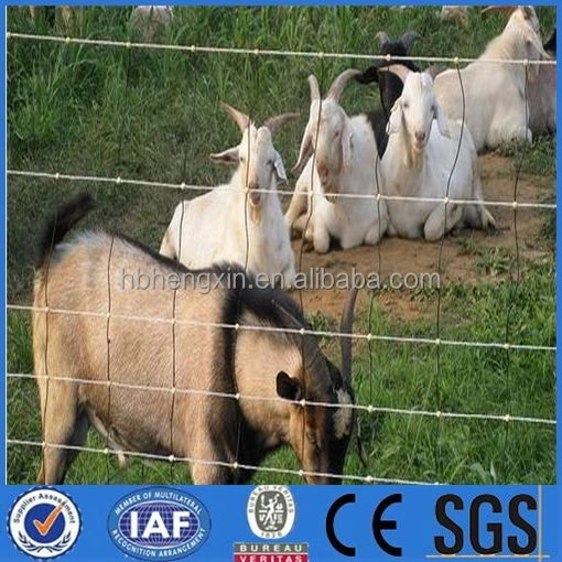 horse/sheep/goat/caw barns for ranch/farm/field/cattle fence(China Factory)