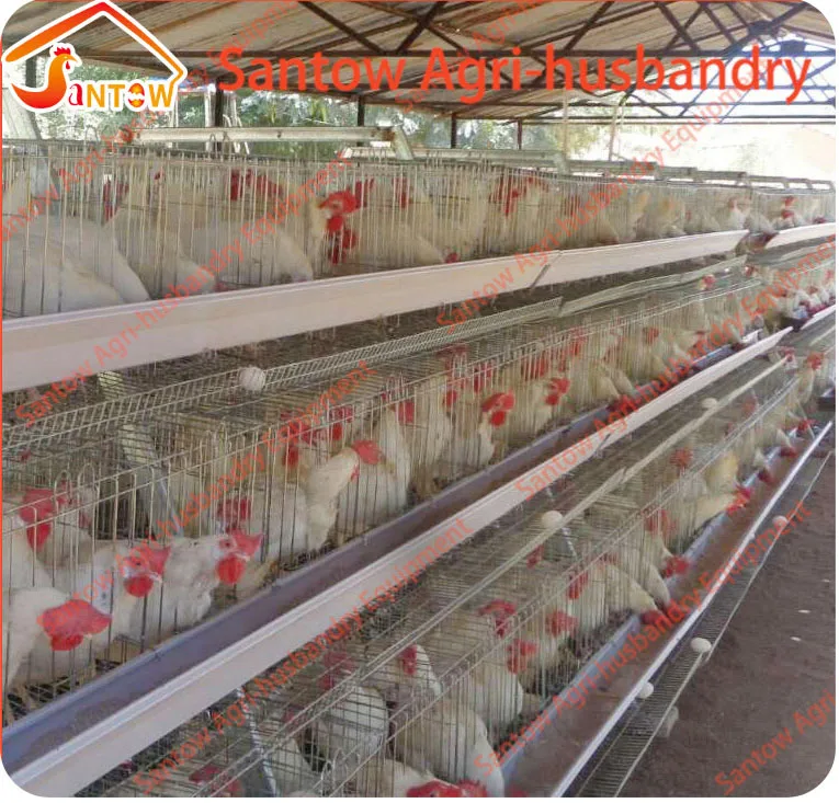 A frame chicken layer cages 3 tiers poultry cage wood chicken coop for Africa Nigeria Uganda Zambia Ghana