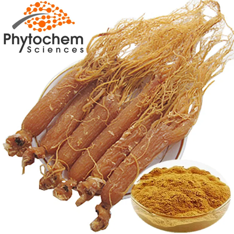 Korean Red Ginseng Root 5% 20% Ginsenosides Low Pesticides Red Ginseng Root Extract