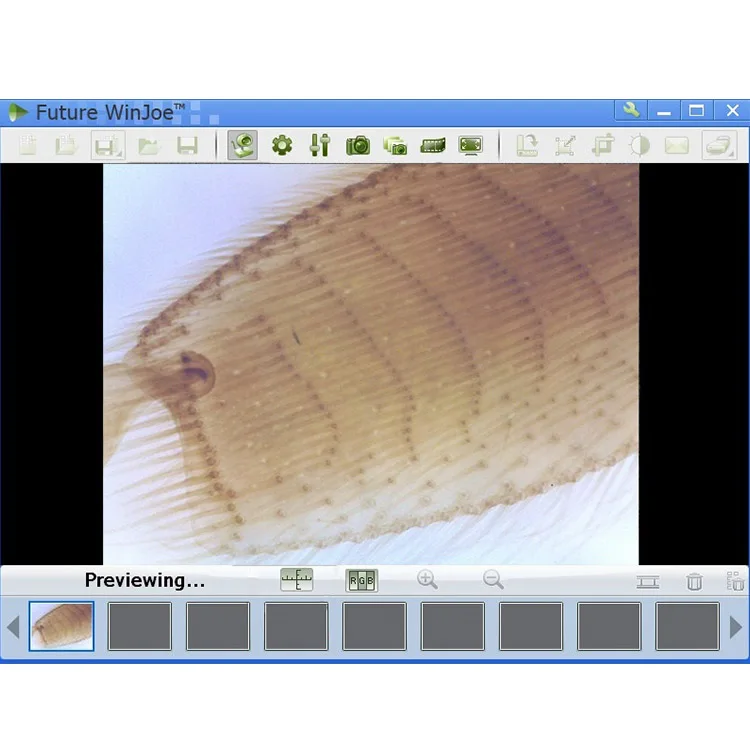 Patent Handheld USB Digital 40X-240X Zoom Multifunction CMOS Microscope for Industrial Inspection