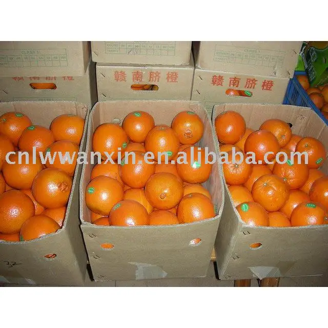
naval orange 