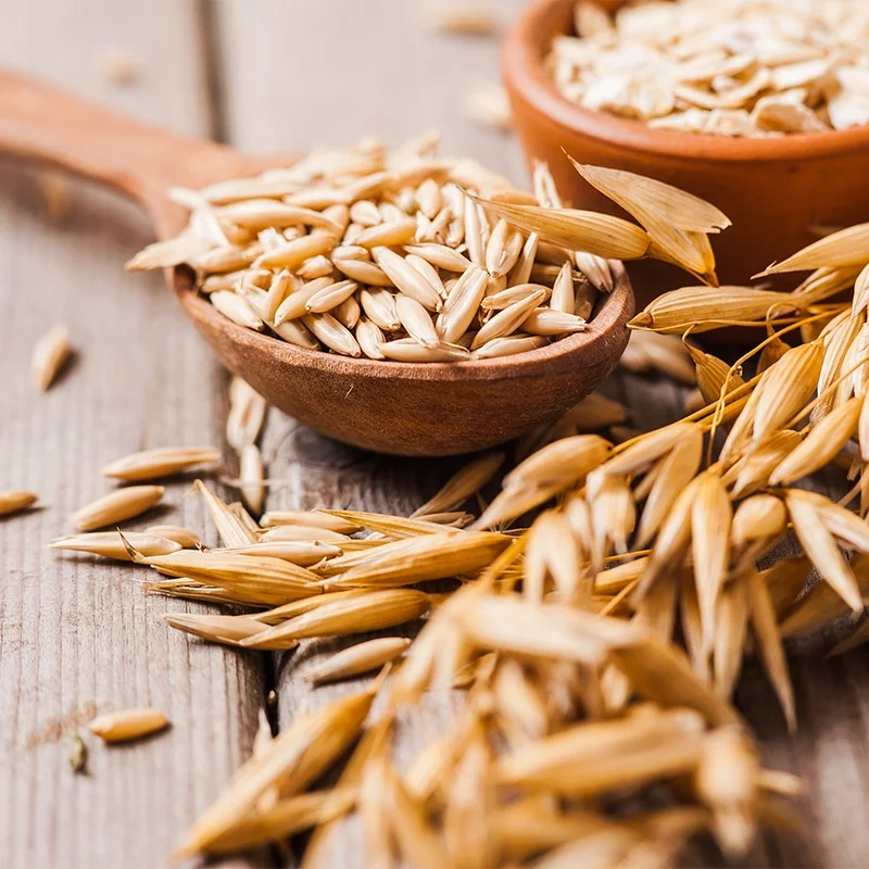 
Grains Whole Oat Grains Oatmeal without Shell 18 Months Top Grade from CN;HEB Typical Dried White AD COMMON Cultivation 