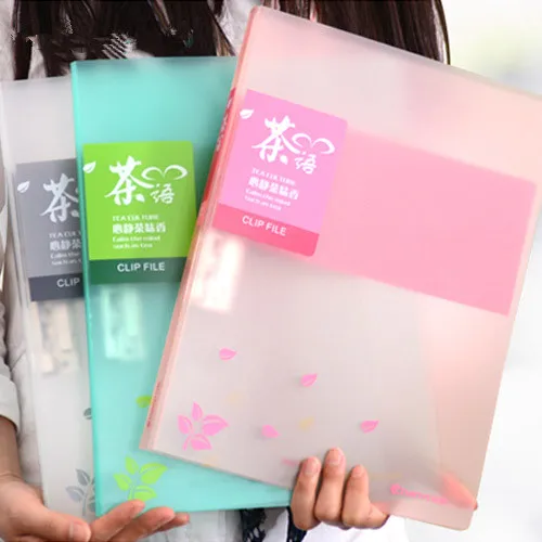 Candy Colors Transparent PP A4 Presentation Folder / Multifunction PP Folder Conference Single clip / Document organizer