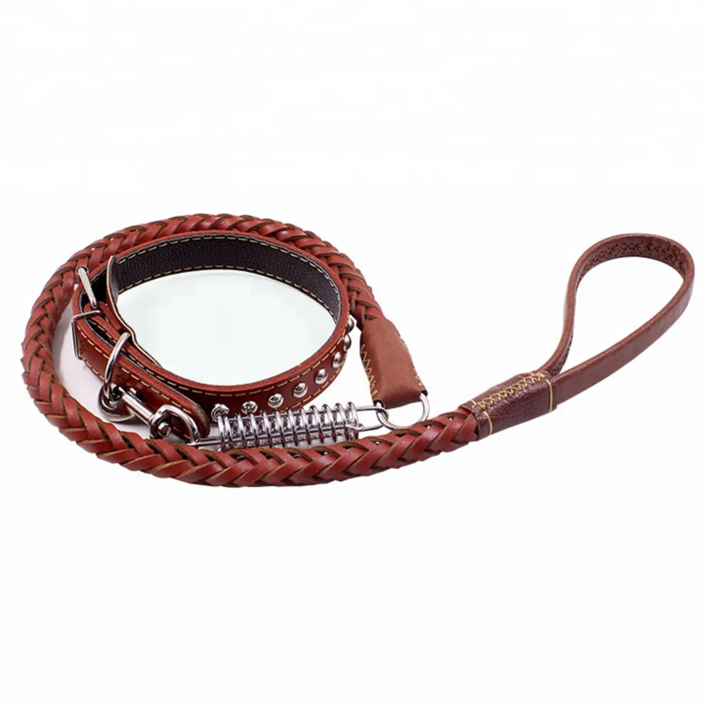 Pet Dog Traction Rope Eight-strand Cowhide Spring Belt Outdoor Anti-scourization Guide Leather Dog Collar And Leash