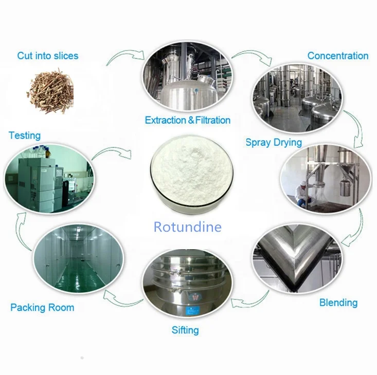 High Quality Powder Form 98% Rotundin