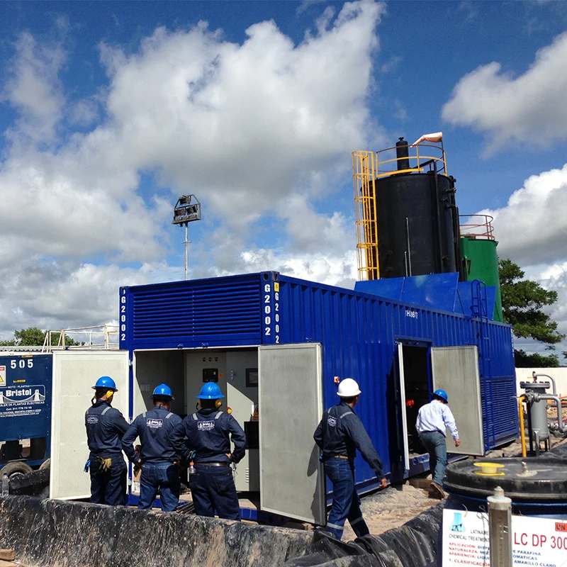 Combined heat and power biogas generator/300KW biogas generator power plant