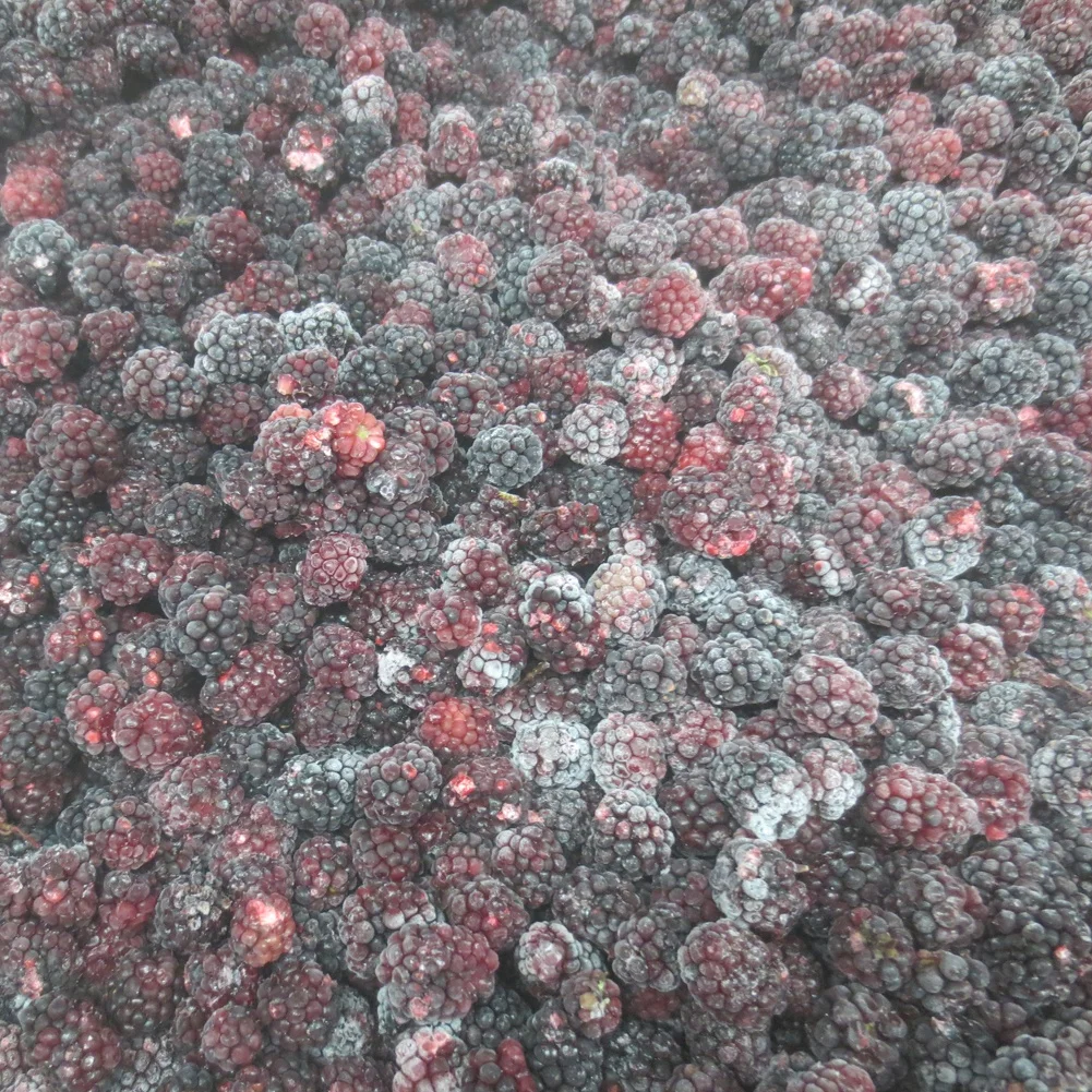 Опт Замороженные китайские Blackberry цена Горячая Распродажа смешанные ягоды