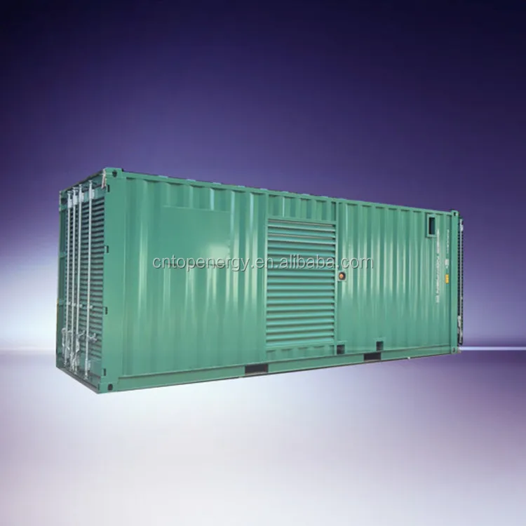 Container generator 1MW Large Power Plant generator 1000kva Factory sale CUMMS/FG Wilson/MTU/MWM 1000kw/1250kva diesel generator