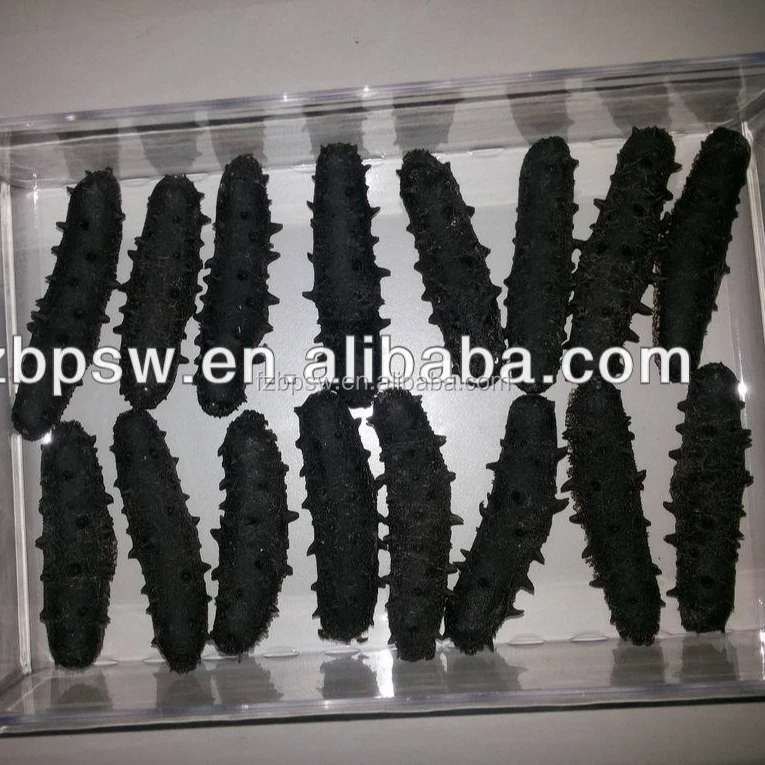 Высококачественный замороженный и сушеный морской огурец на продажу