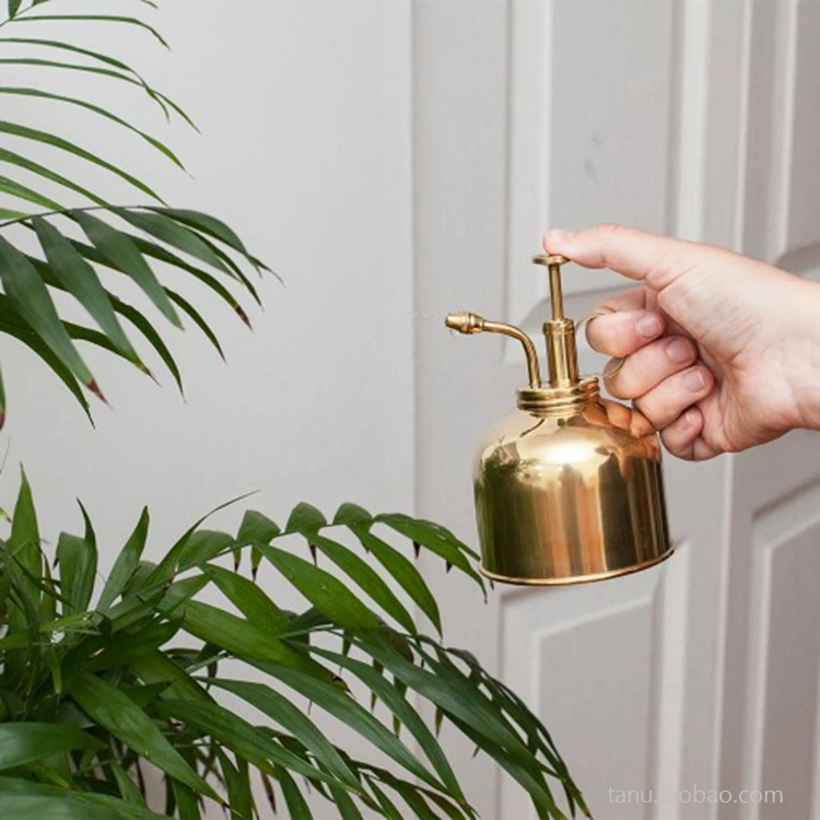 Brass gold small British European household watering flower small watering can
