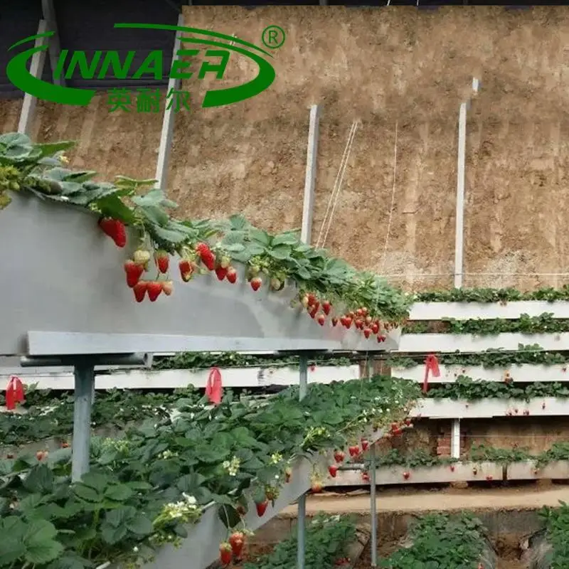 The most popular agricultural products is pinard plant slot
