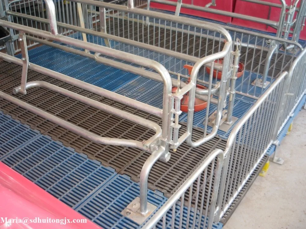 Manufacturer of agricultural livestock equipment pig farrowing crate