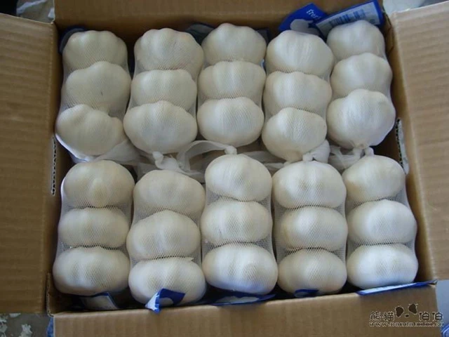 wholesale peeled garlic chinese 3p pure fresh white garlic