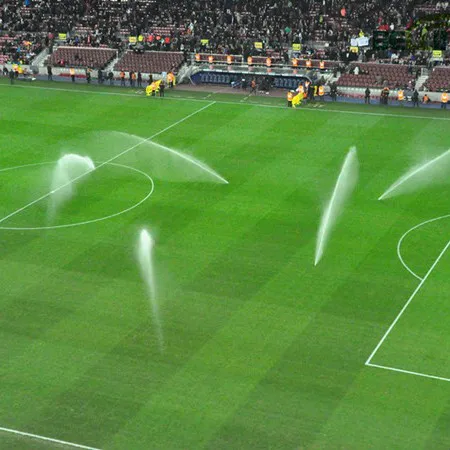 Soccer /Football Sport Artificial Grass