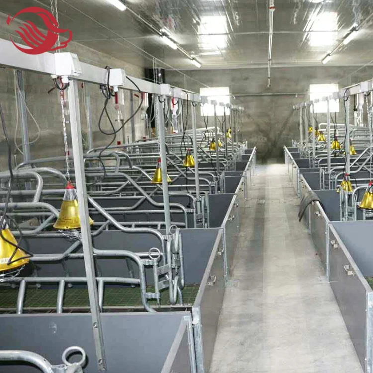 Pig farm galvanized Farrowing crate/pen/stall for sale / Farrowing designed fence/ crate