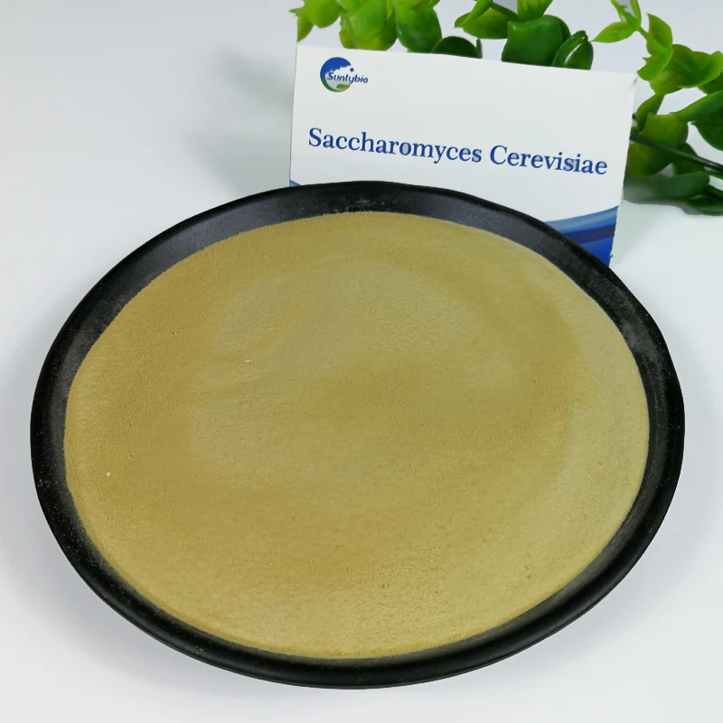 Feed Grade Molasses Yeast For Animal