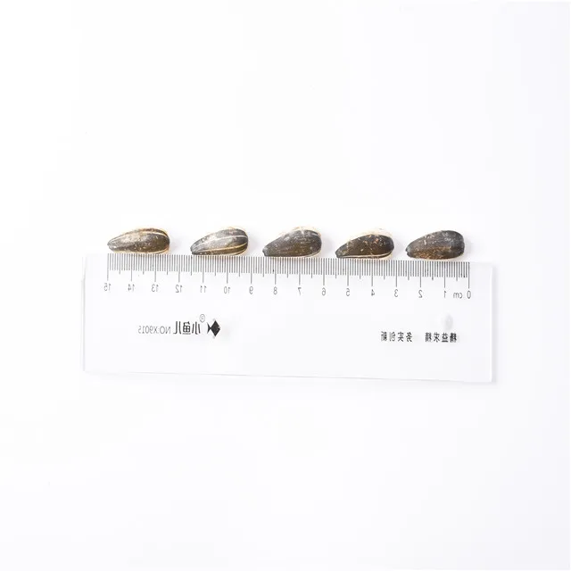 high quality hot sale cheap sunflower seeds for  Human consumption At Best Price