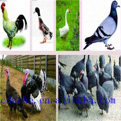 selenium amino acid chelate