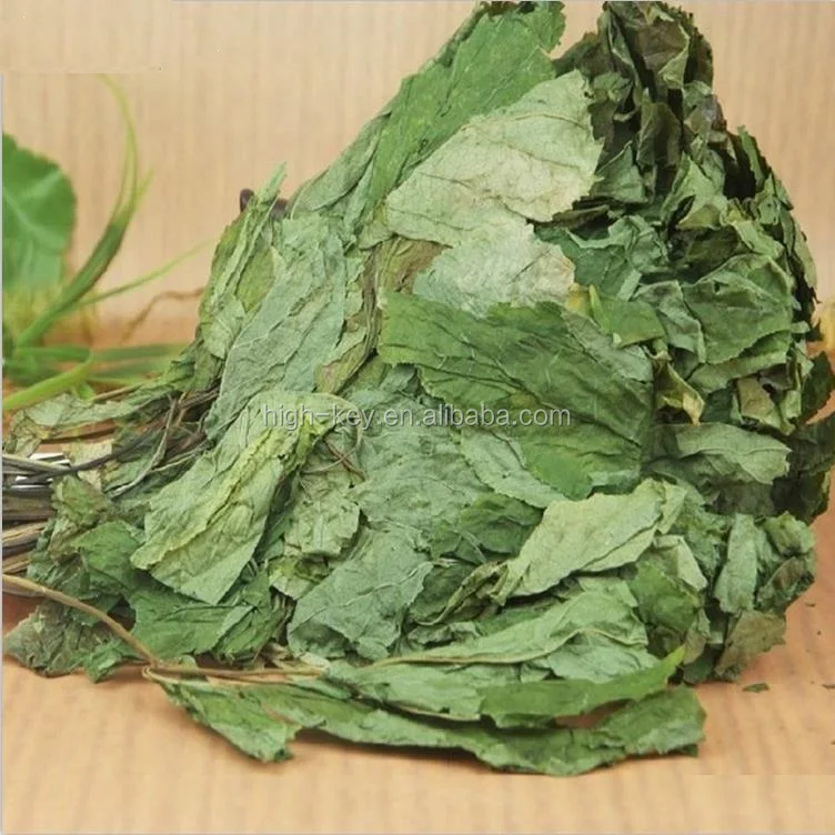 
5006 Ren Shen Ye Ginseng Changbai Mountain Green Ginseng Leaf 