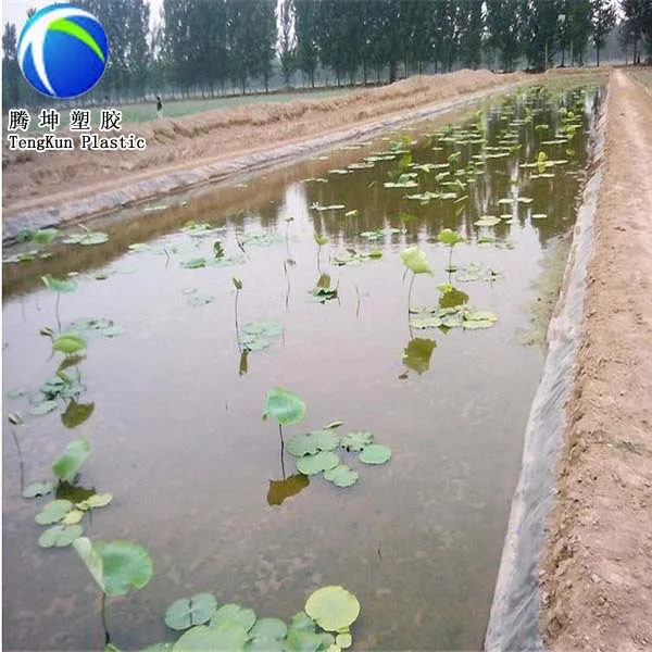 аквакультуры hdpe геомембраны вкладыш для креветок бак