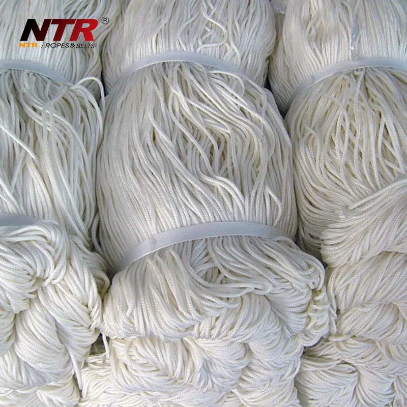 NTR High quality 3mm 4mm 5mm 6mm polyester braided rope