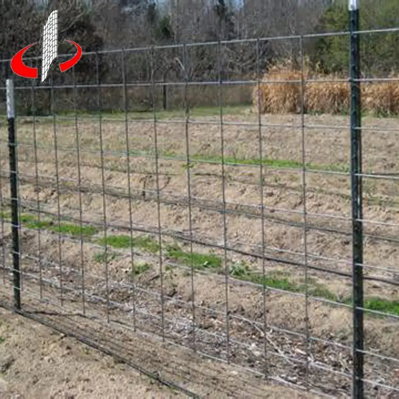 Livestock Welded Cattle Fence Manufacturer