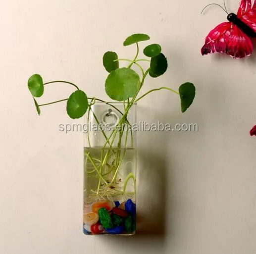 Pyrex Glass Material Unique Home Decoration Hydroponics Vase Fish Tank Wall Mounted Glass Vase