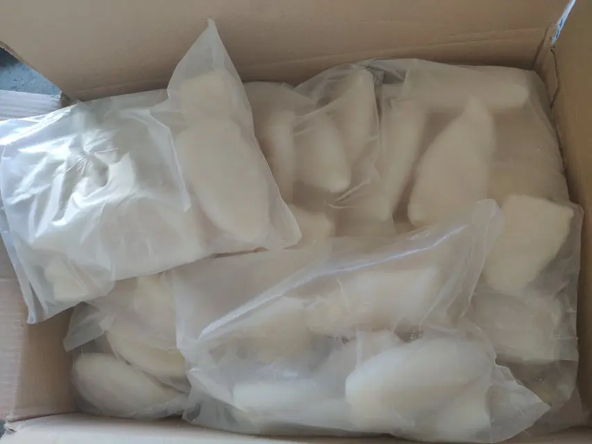 best frozen giant squid tube dosidicus giga