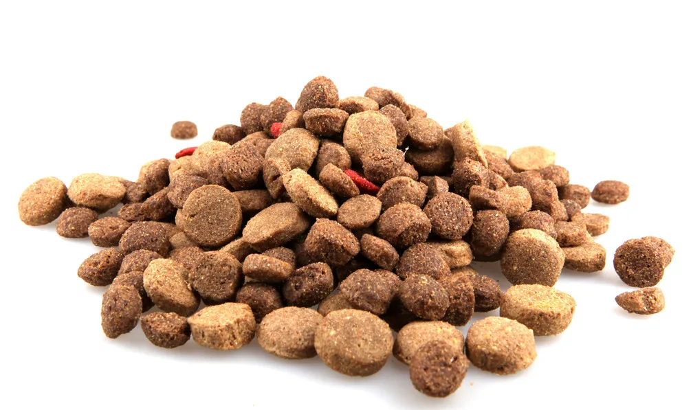 
Professional Dried Kibble Dog Food Machine made in China 