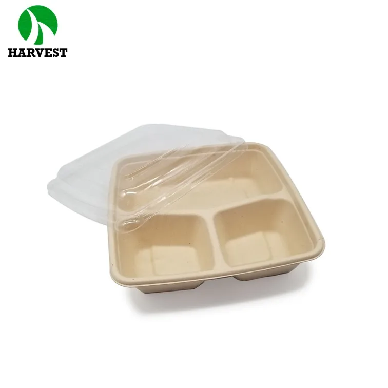 Bamboo Sugarcane Paper Square Biodegradable Compartment Plates