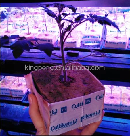 
Rockwool Hydroponics 