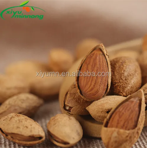 Chinese Premium Roasted and Salted Almond nuts with shell for sale